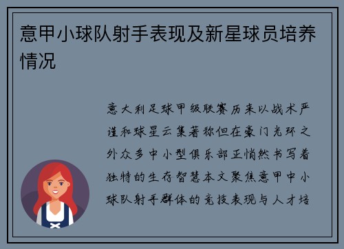 意甲小球队射手表现及新星球员培养情况