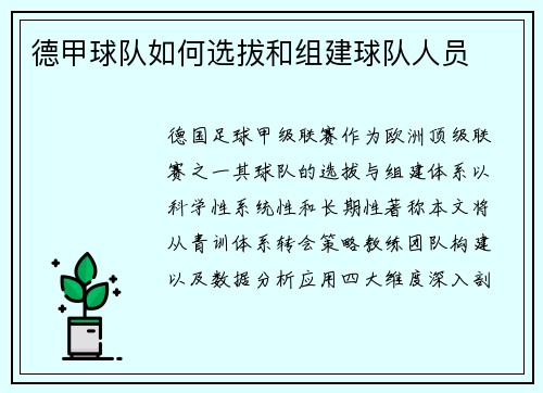 德甲球队如何选拔和组建球队人员
