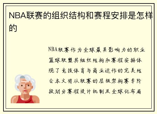 NBA联赛的组织结构和赛程安排是怎样的